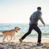 2 In 1 Dog GPS Fence Tracker Wireless GPS Dog Fence GPS Dog Collar with 32-2887FT Radius IPX6 Waterproof